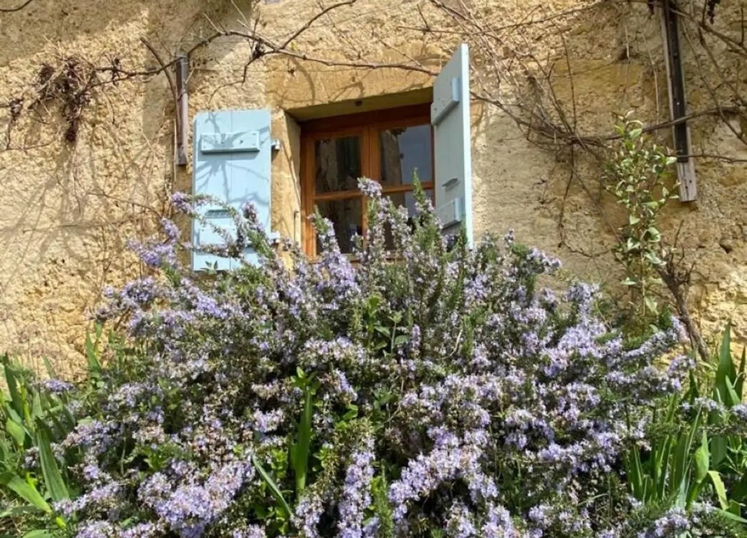 Loubersan Gascony Villa - Pool Nature Large Garden 17P